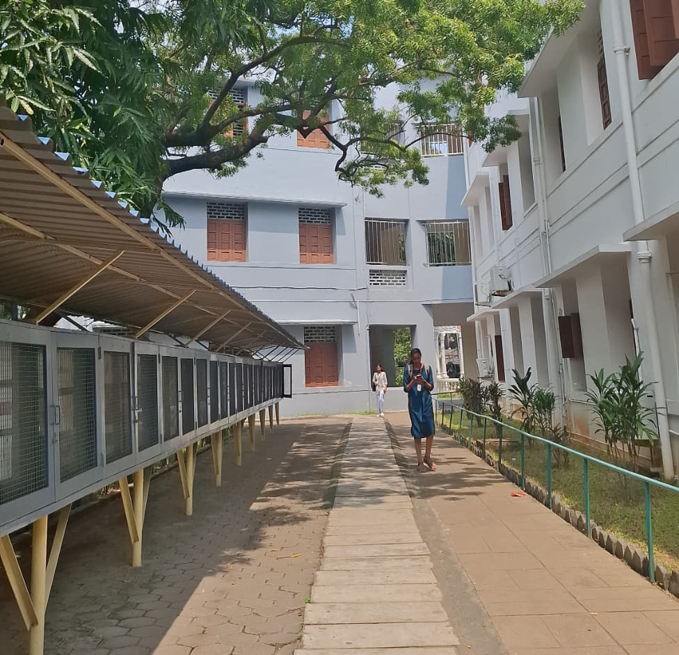 Stella Maris College Chennai Campus photo 11